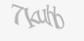 Защитный код